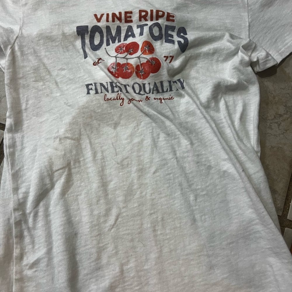 American Eagle Outfitters White Tomato Graphic Tee